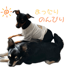 [LINEスタンプ] マロゆずの日常