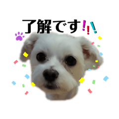 [LINEスタンプ] パセリ セロリ