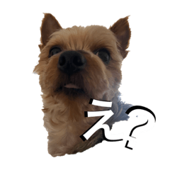 [LINEスタンプ] うちのティノ
