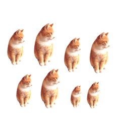 [LINEスタンプ] ねこちゃんのスタンプです！！