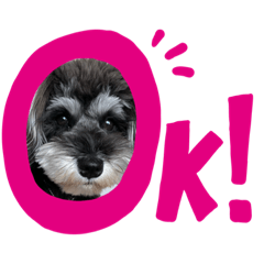 [LINEスタンプ] 犬のポポちゃん