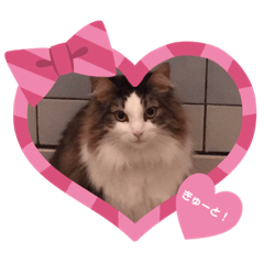 [LINEスタンプ] ひだまりニャンズ②