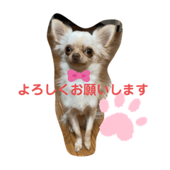[LINEスタンプ] ラナくん