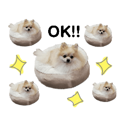 [LINEスタンプ] もこりくスタンプ②