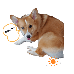 [LINEスタンプ] コーギーのゆうな2