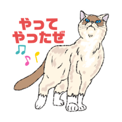 [LINEスタンプ] ねこねこフェスタ（応援バージョン）