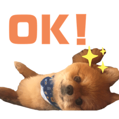 [LINEスタンプ] ぽんちゃんのスタンプ♡