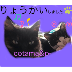 [LINEスタンプ] Hair salon 訪問美容室 Cocoa