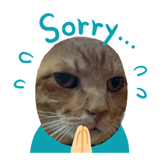 [LINEスタンプ] みぃーこくん