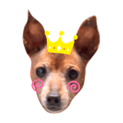 [LINEスタンプ] ルビー dog dog