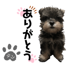 [LINEスタンプ] テンしゃんstamp