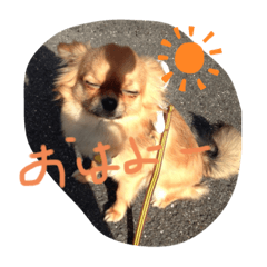 [LINEスタンプ] ぺこぺこの日常2