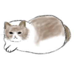 [LINEスタンプ] まるひめスタンプ2