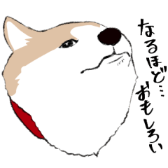 [LINEスタンプ] まめちゃ犬