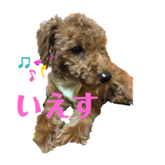 [LINEスタンプ] ゆうこむぎ