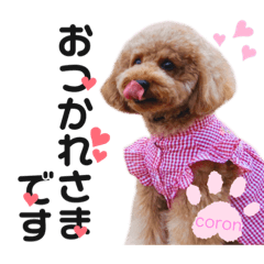 [LINEスタンプ] coronmalu♡