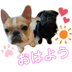 [LINEスタンプ] おもちとおはぎ第1弾