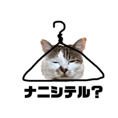 [LINEスタンプ] ワカメ④