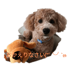 [LINEスタンプ] のんちゃん 1