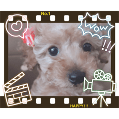 [LINEスタンプ] ラキクキマフィ