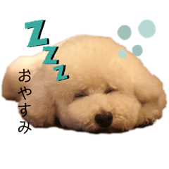 [LINEスタンプ] フーちゃんの日常スタンプ