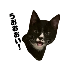 [LINEスタンプ] 吾輩はゴマである