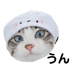[LINEスタンプ] 可愛い愛犬 愛猫シリーズ