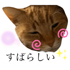 [LINEスタンプ] chacha-70