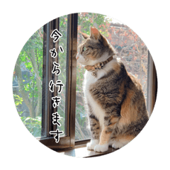 [LINEスタンプ] ランマギすたんぷ