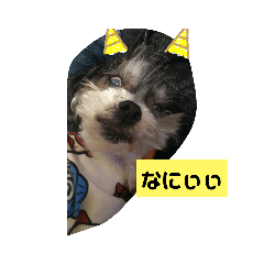 [LINEスタンプ] マルシーズージャック2