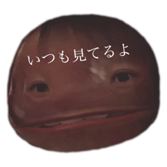 [LINEスタンプ] 毎日がエブリデイ！！