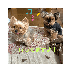 [LINEスタンプ] 皆、お友達。