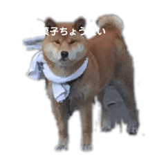 [LINEスタンプ] やまと＊