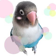 kawaii blue bird sticker