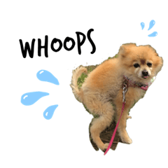 [LINEスタンプ] りんのつぶやき2
