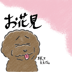 [LINEスタンプ] 可愛いトイプードル色々