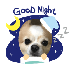 [LINEスタンプ] 愛犬チョロ