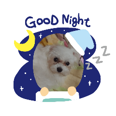 [LINEスタンプ] 紗来