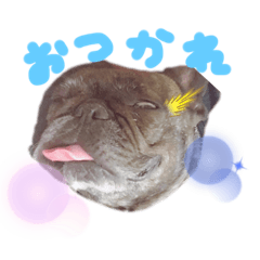[LINEスタンプ] アンディ♡