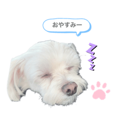 [LINEスタンプ] ちょーち