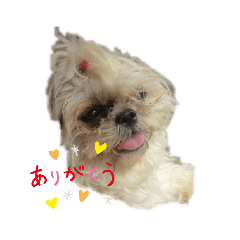 [LINEスタンプ] 命(みこと)part2