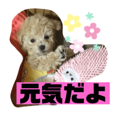 [LINEスタンプ] ナラファミリー4