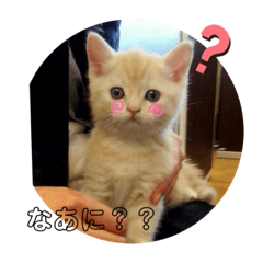 [LINEスタンプ] ベイビーマロン＆ももたん