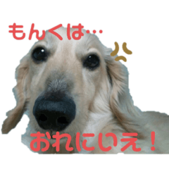 [LINEスタンプ] りずむ＆かのん＆じゃむ