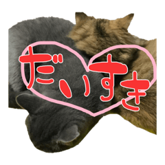 [LINEスタンプ] るなさらの日常
