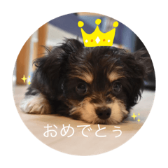 [LINEスタンプ] はち②