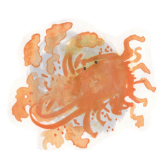 [LINEスタンプ] やまわらう