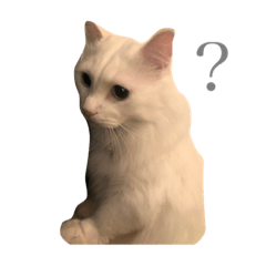 [LINEスタンプ] こはくのあまり使えないスタンプ