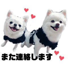 [LINEスタンプ] ビケクク