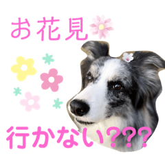 [LINEスタンプ] ♡可愛い家族達♡